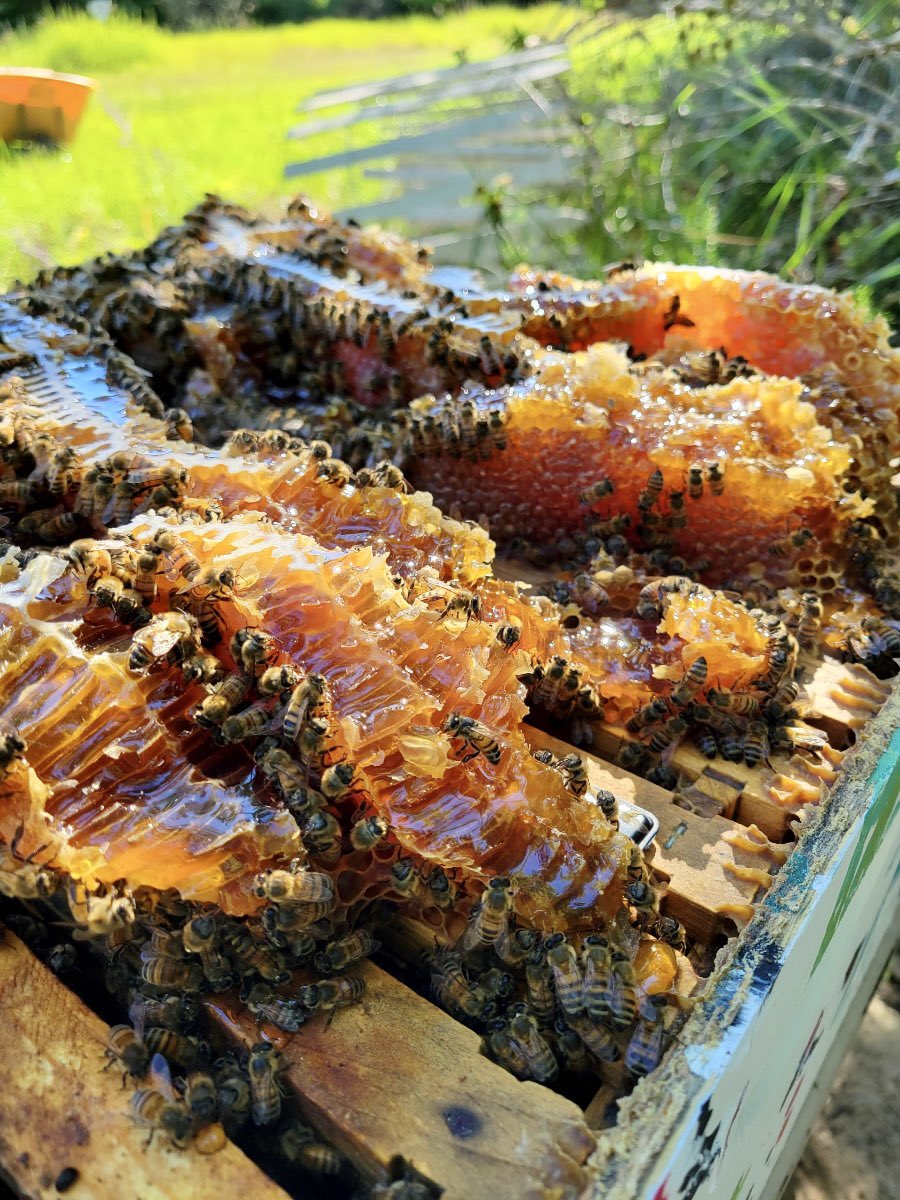 Kelly Knight tweet media