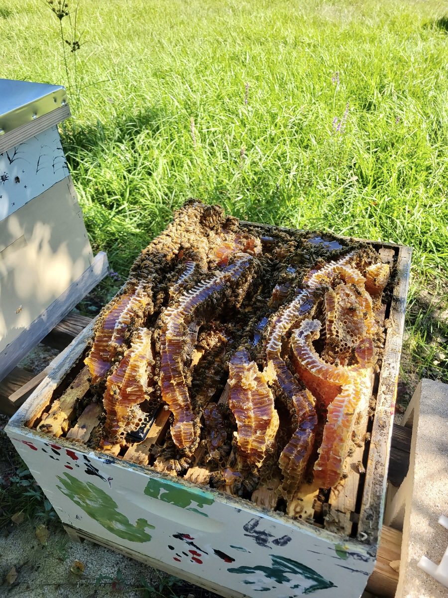 Kelly Knight tweet media