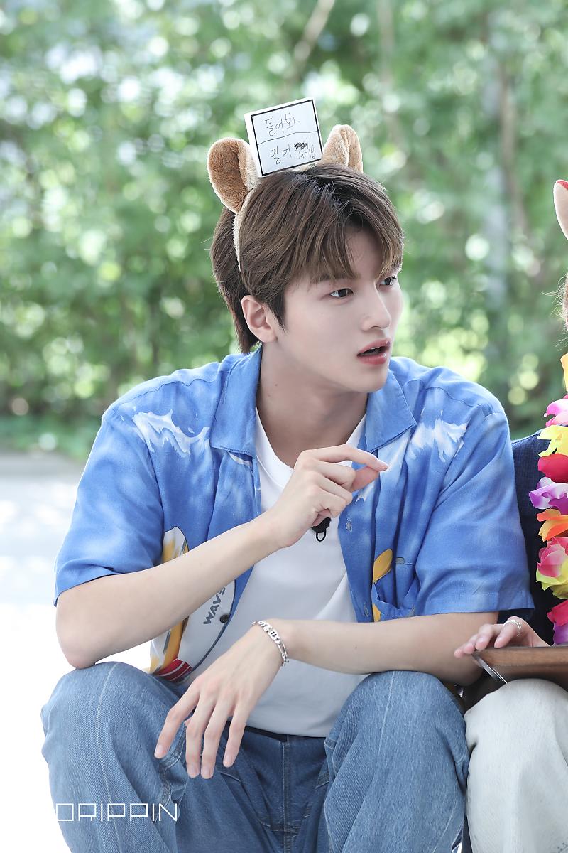 Cha Junho Br tweet media