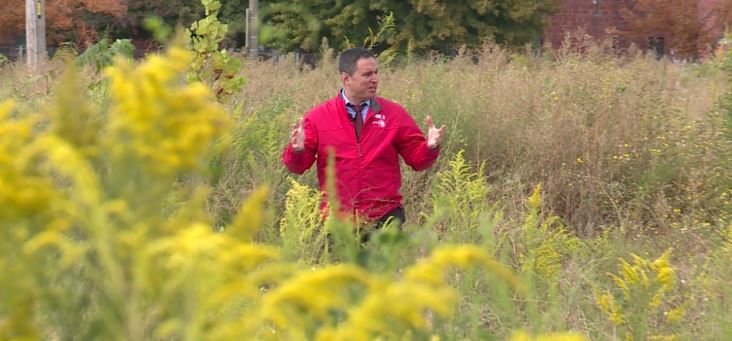 andybankertv's tweet photo. Only on @FOX2now new at 10: StL is 3 days from hosting @BANDSOFAMERICA marquee event drawing nearly 70 HS Marching bands from 10 states; these are their parking lots: trash strewn w weeds up to 7 ft...abt 62 hours until bands and buses start showing up https://t.co/U9mhZ9n3bl