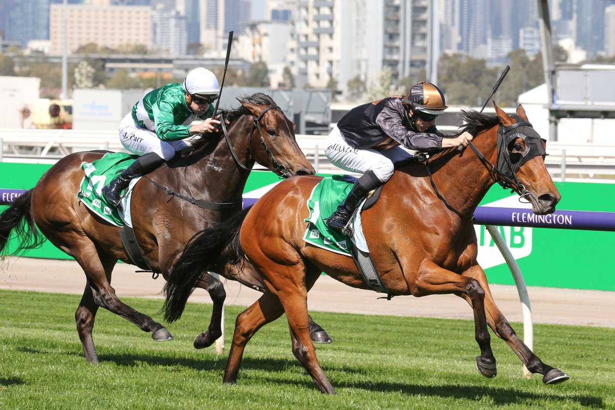 nzracingnews's tweet photo. Kiwi-bred filly She's Licketysplit could make history this evening in the Gr.1 Thousand Guineas at Caulfield.
https://t.co/O7A5zlkcmQ https://t.co/ubNrasFB0W