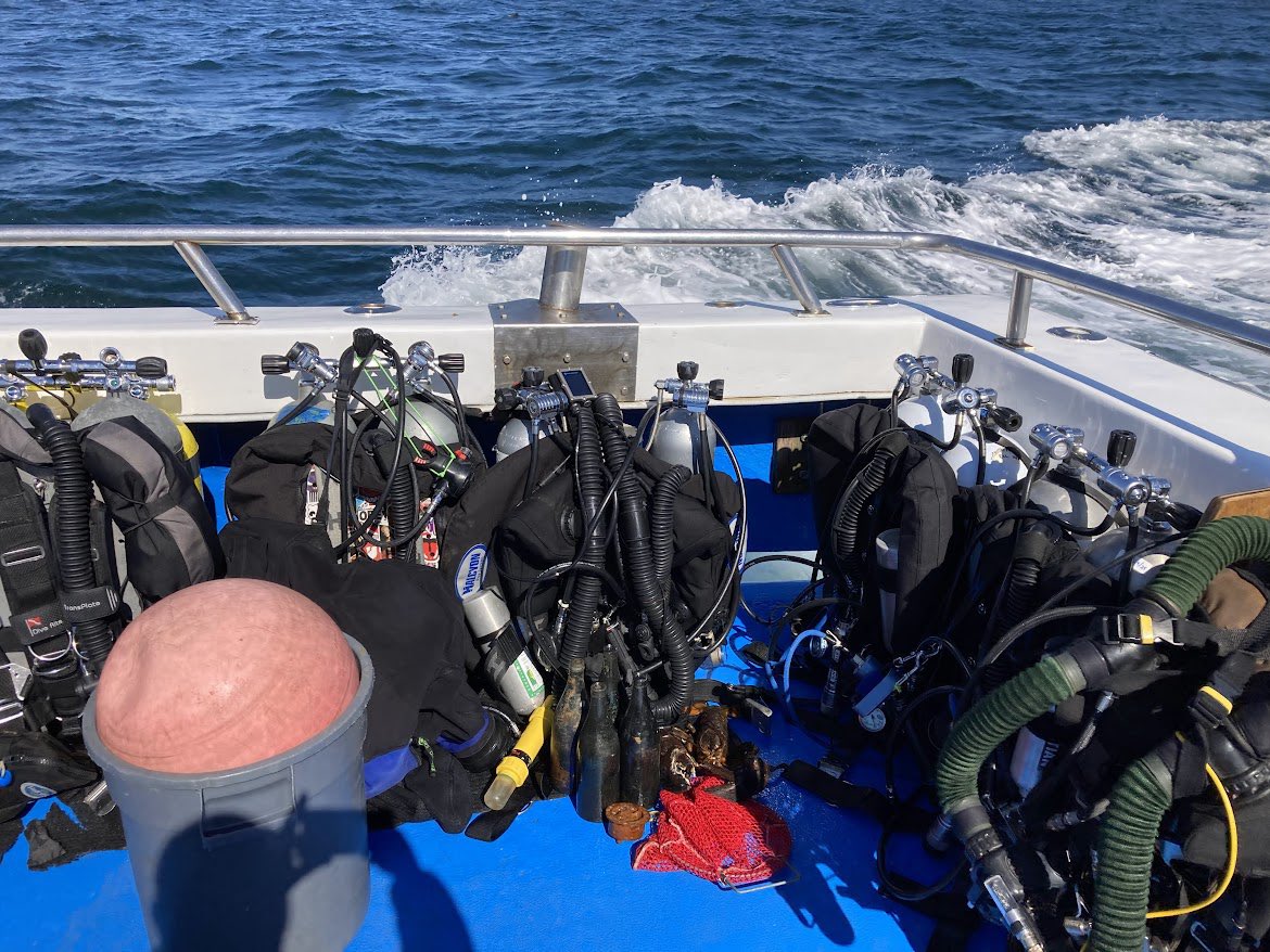 bigappledivers tweet media