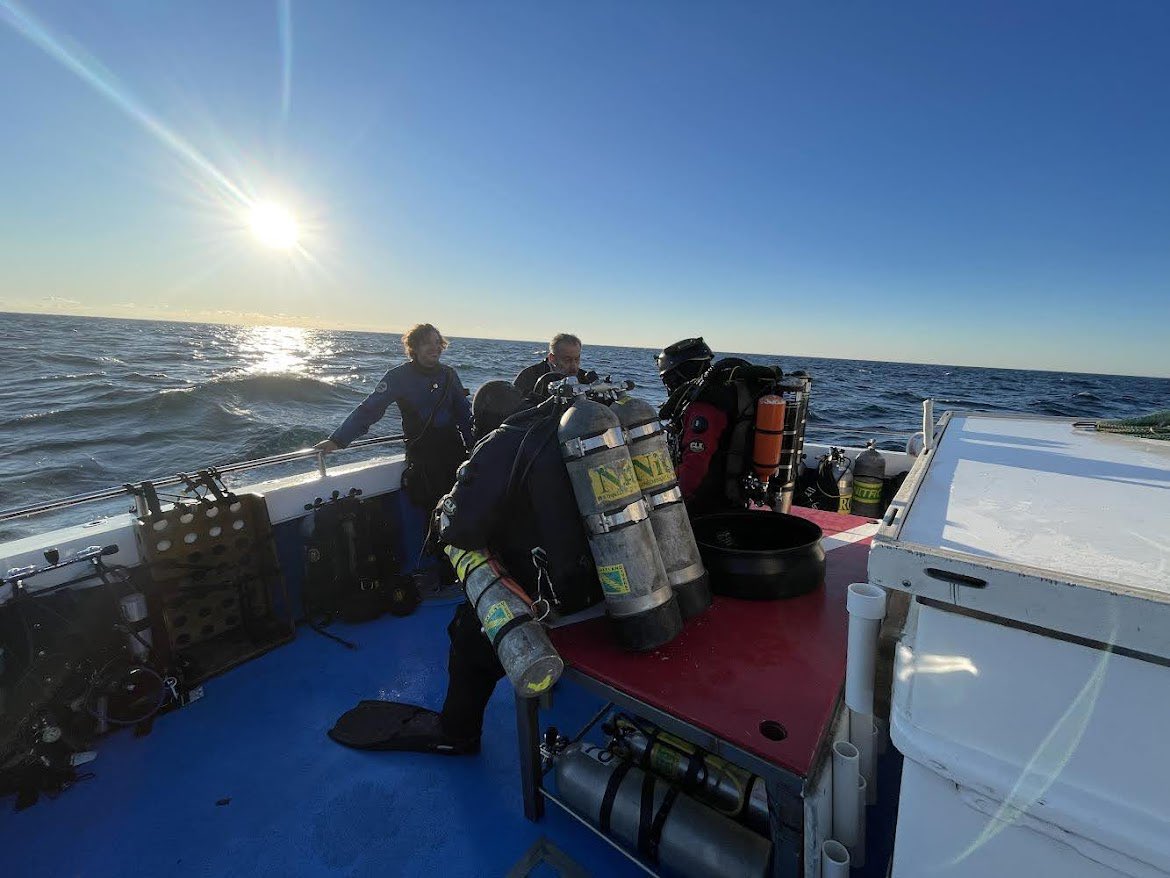 bigappledivers tweet media