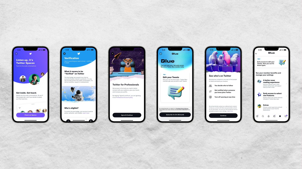 Nicholas Mauro tweet media