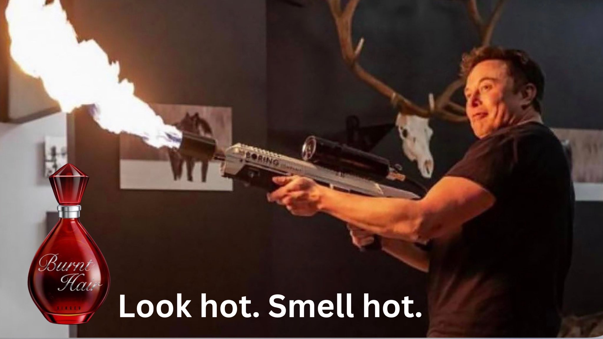 The Best of Live Audio on Twitter "elonmusk Look hot. Smell hot