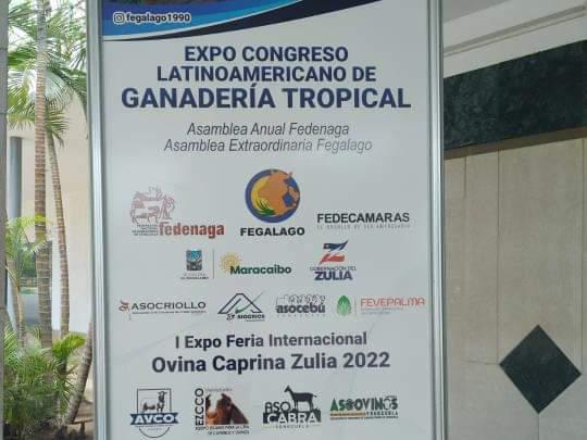 Del 2 al 6 de noviembre Maracaibo será la sede del Expo Congreso Latinoamericano de ganadería tropical en el Hotel Tibisay del Lago. Exposiciones, subastas, actividades culturales ¡Entrada libre! <a href="/Fedenaga/">FEDENAGA</a> <a href="/fegalago/">FEGALAGO</a> <a href="/campocafeciudad/">campocafeciudad</a> #Maracaibo #11octubre
