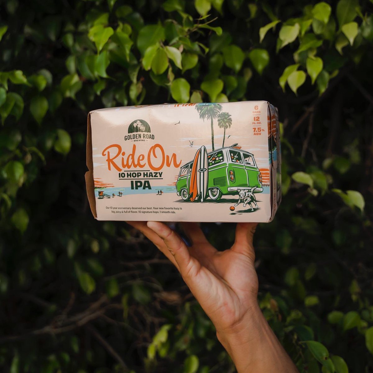 UGC Content examples for some different beer companies photographed around Pacific Beach, San Diego. #ugc #ugccreator #ugccommunity #brandphotography #sandiegobrandphotographer