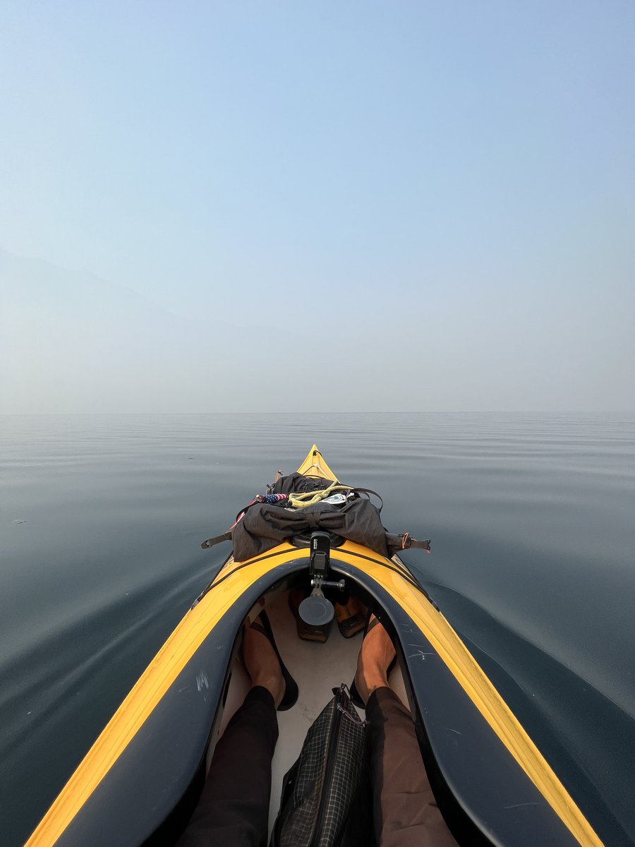 ミヤザキマサキ tweet media