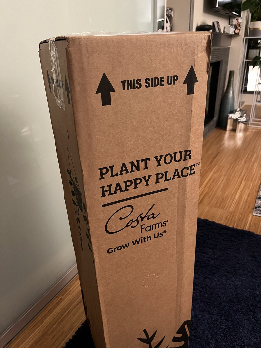 So this was just delivered. 📦🌱 I have been really sick and do not remember ordering a plant from @CostaFarms, but it seems like something I would do. I’m excited to surprise myself!