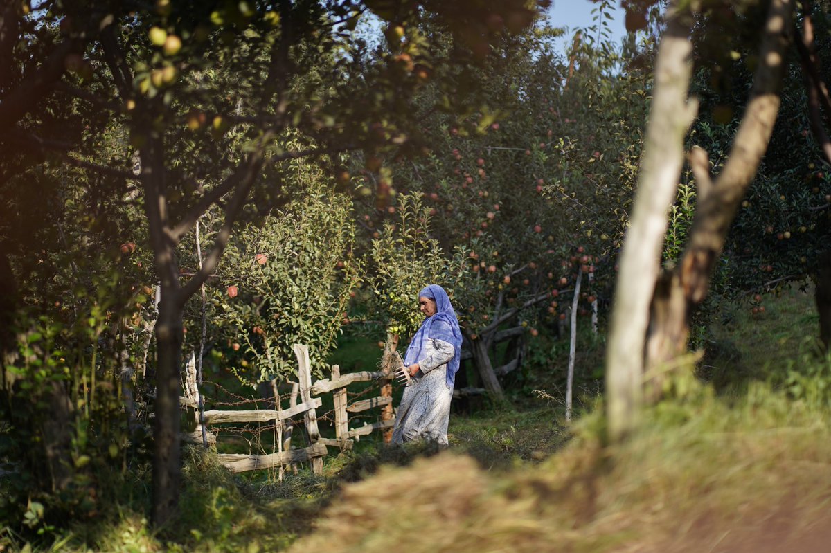 It’s hard being a Woman - overworked and under appreciated.                                      #women #work #unpaidcarers #hardlife #ruralwomen #genderequity #Kashmir #hardwork #labourconference2022 #breakthebias #patriarchy #femalepoverty #WomensRights #village #life #Respect