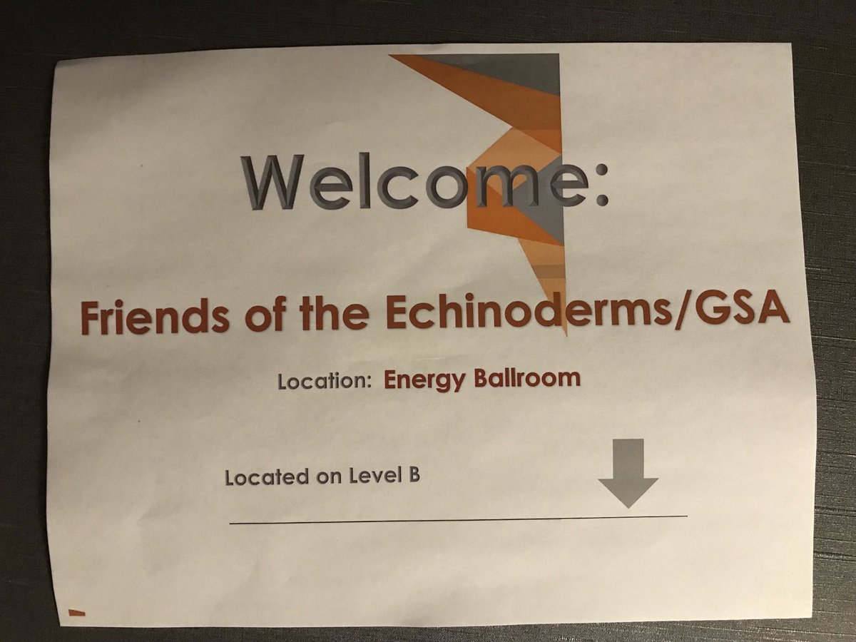 Sumrall LabGroup tweet media