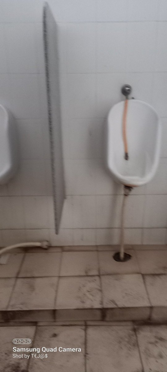 Tejasngowda's tweet photo. Realistic situation of the cleanliness in the #MiniVidhanaSoudha #Mysore #CleanCityMysore
@BSBommai sir, Kindly direct the concerned officers to look into this.
@mepratap @VSOMANNA_BJP @mysurucitycorp @cleanmysuru @Star_Of_Mysore @raj_bgowda https://t.co/Pn6Esn665d