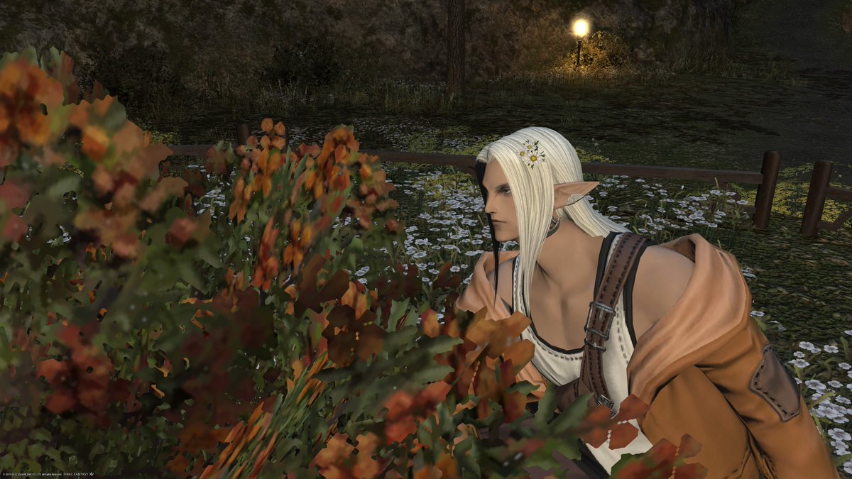 Day 8: Fall Colors

"Seems that the colors are finally changing."

#Elftober2022