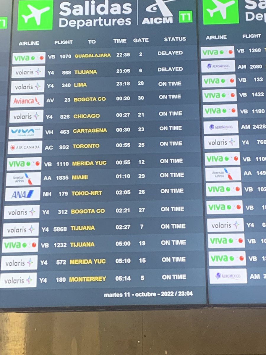 max schiaffino tweet media