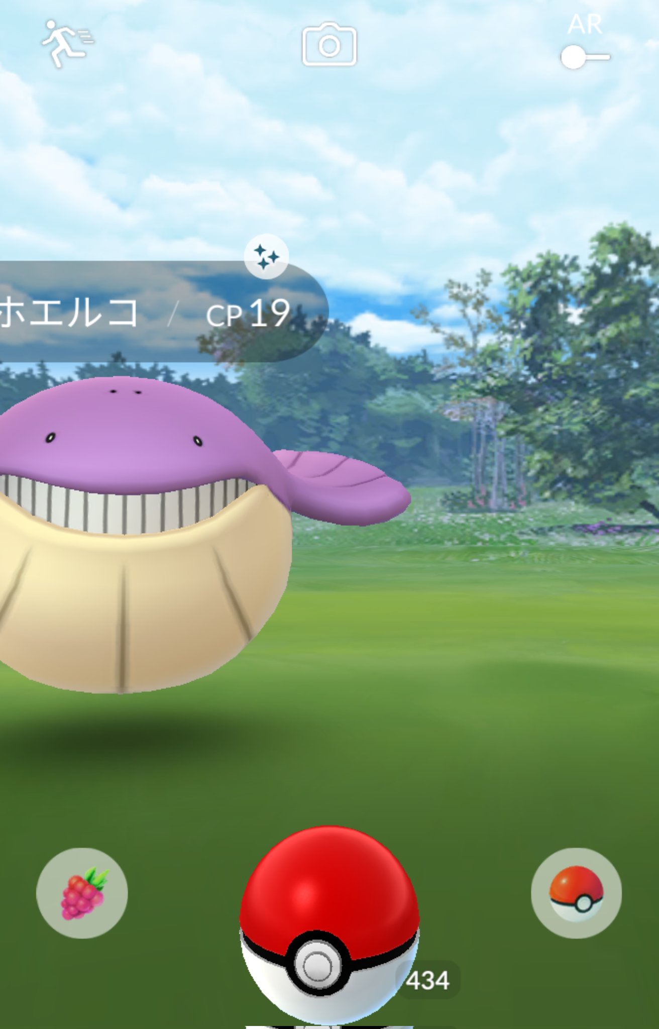 Sa ポケモンgo ホエルコ色違いとゼルネアス高個体値 T Co E11w0dprrm Twitter