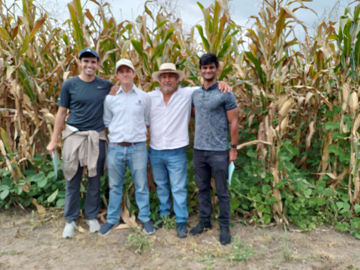 Visita a la plataforma Villa Corzo en Chiapas, para ver los resultados de los cultivos intercalados (frijol, canavalia, sorgo) sembrados bajo agricultura de conservación.
Esa sistema mejora el rendimiento de maíz, además aumenta la salud del suelo y la captura de carbono.