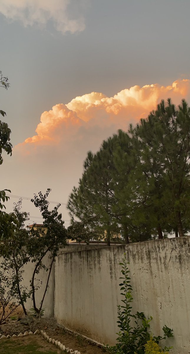 xaadkhan's tweet photo. Autumn is here in Bajaur https://t.co/tnwtF5lerY
