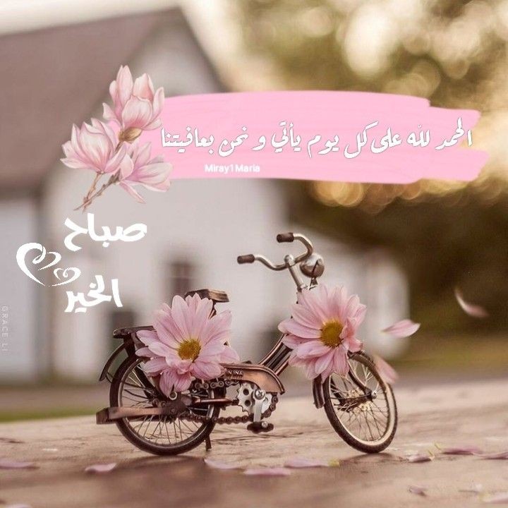 الصداقة بعد الحب هذا يعني أن أحدهم لم يقتنع بعد بفكرة الفراق 

#اصدقائي
#صباح_الخير