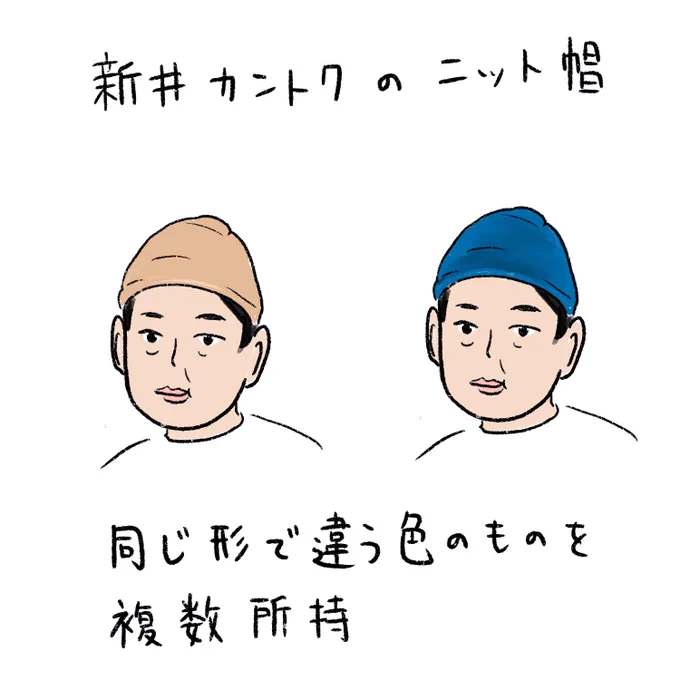 今のところベージュとネイビーを確認しています。 