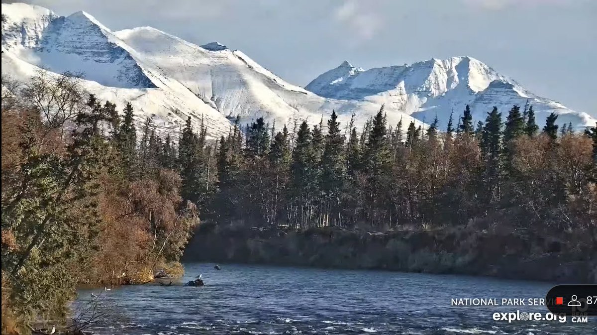 DodgerAmes's tweet photo. Happy Fat Bear Tuesday! There is a bear snorkeling for salmon in the distance but just look how beautiful @KatmaiNPS is right now! We will know at 9 who the Fat Bear crown goes to. Will it be 747 Bear Force One or 901? #FatBearTuesday #FatBearWeek π» https://t.co/u5oDWMrmqZ