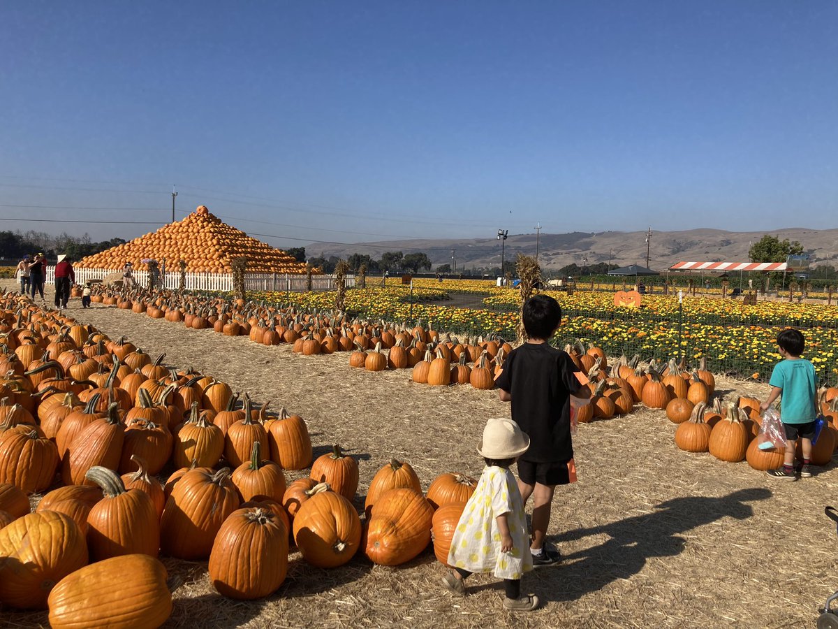 パンプキンパッチのダートカップのレシピ