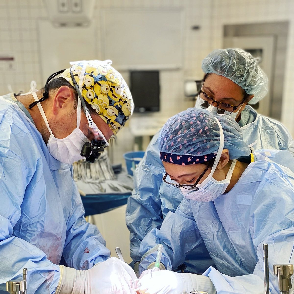 Jenny Cui, MD tweet media