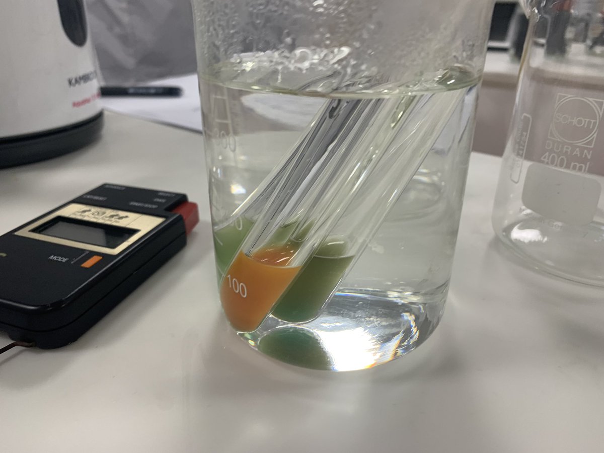 BeckRSaunders's tweet image. #IB #Biology #Topic2 …. Testing sugars in soft drink