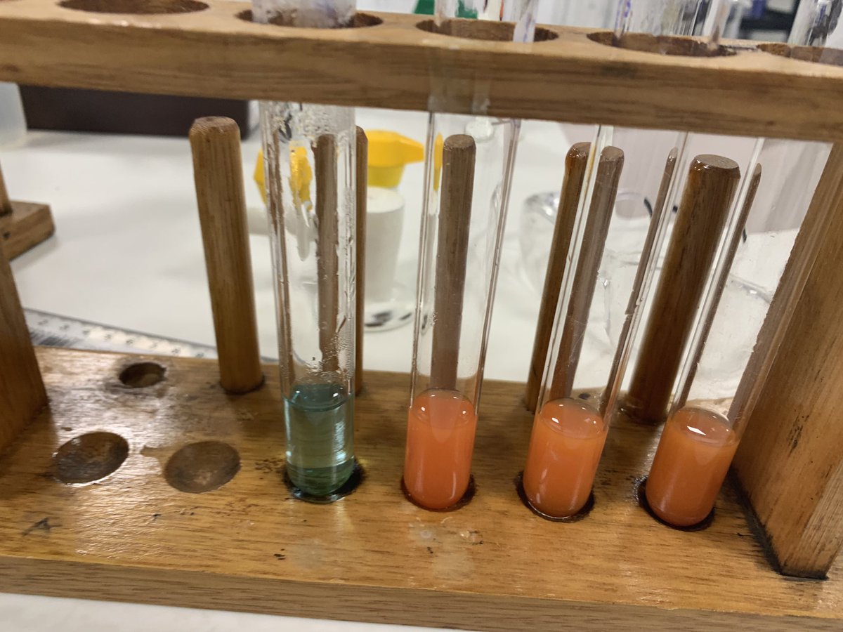 BeckRSaunders's tweet image. #IB #Biology #Topic2 …. Testing sugars in soft drink