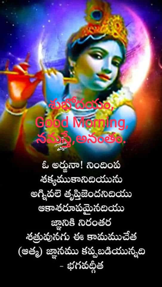 Ananthsubrahma1's tweet photo. Have a Nice Day. https://t.co/dIysqofow5