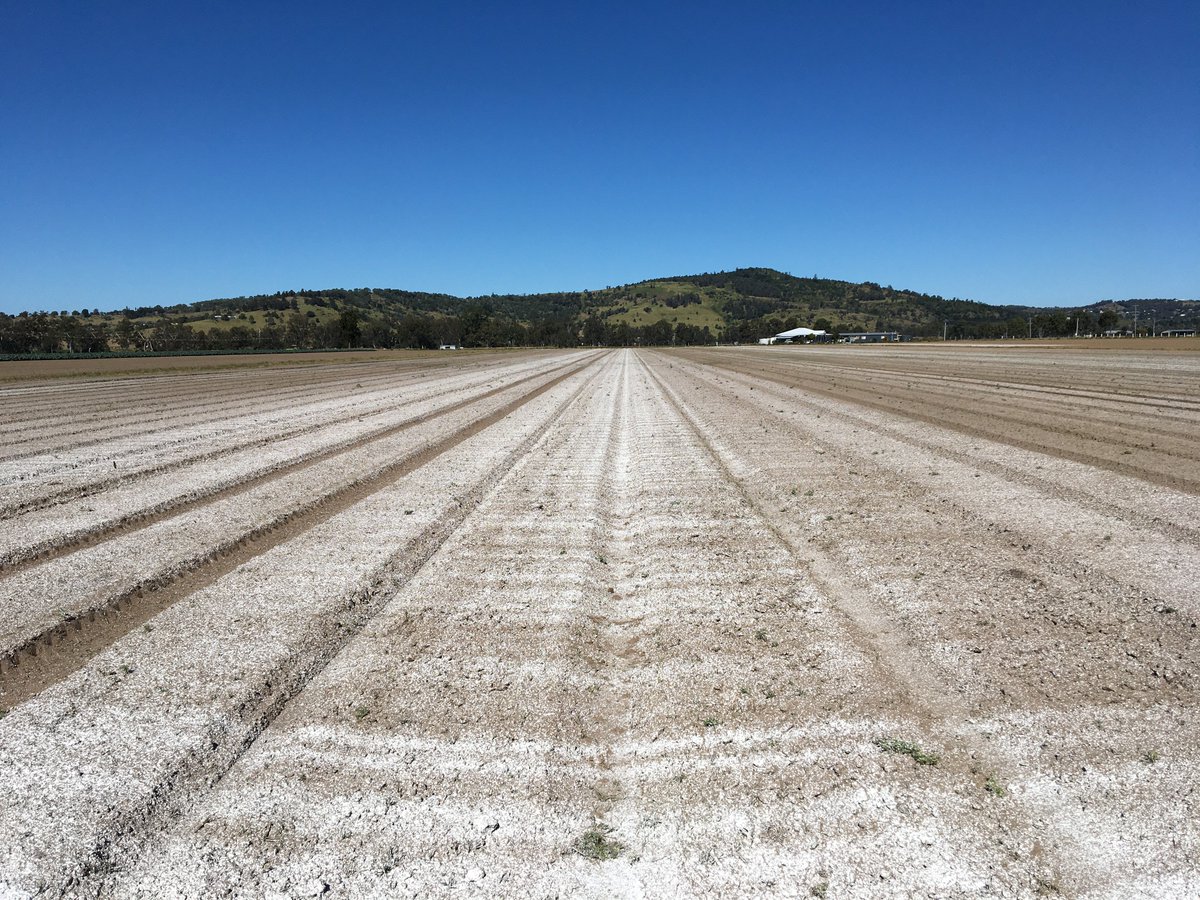 entrabyfertec's tweet photo. #Entra micronised gypsum has many benefits for your farming system.

☑️Mitigates soil crusting - Improved seedling 
  emergence 
☑️Improves water infiltration 
☑️Entra plus Urea or UAN is an alternative calcium 
   nitrate 

#entrabyfertec #entramicronisedgypsum #micronisedgypsum https://t.co/nw87j7Y7St