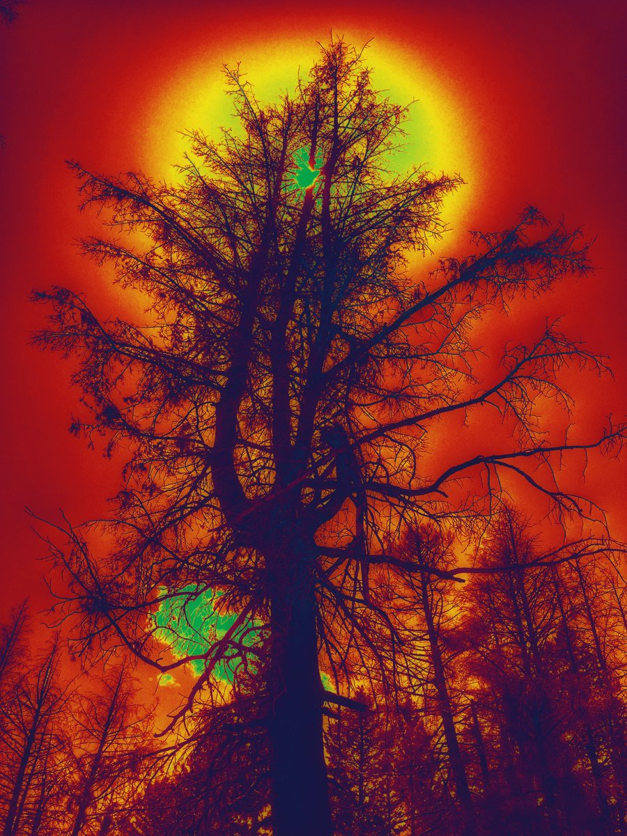 RiffHaven's tweet photo. Riff Häven Episode 296 airs tonight from 9-11 PM on @RadioBoise with music from #Brutus #Federale #Frayle #Mephistofeles #FreedomHawk & more
#RiffHaven #RadioBoise #PostRock #Shoegaze #StonerRock #HeavyRock #FuzzRock #HeavyPsych #PsychRock #DesertRock #HardRock #heavymetal https://t.co/gneJ1OgGC4