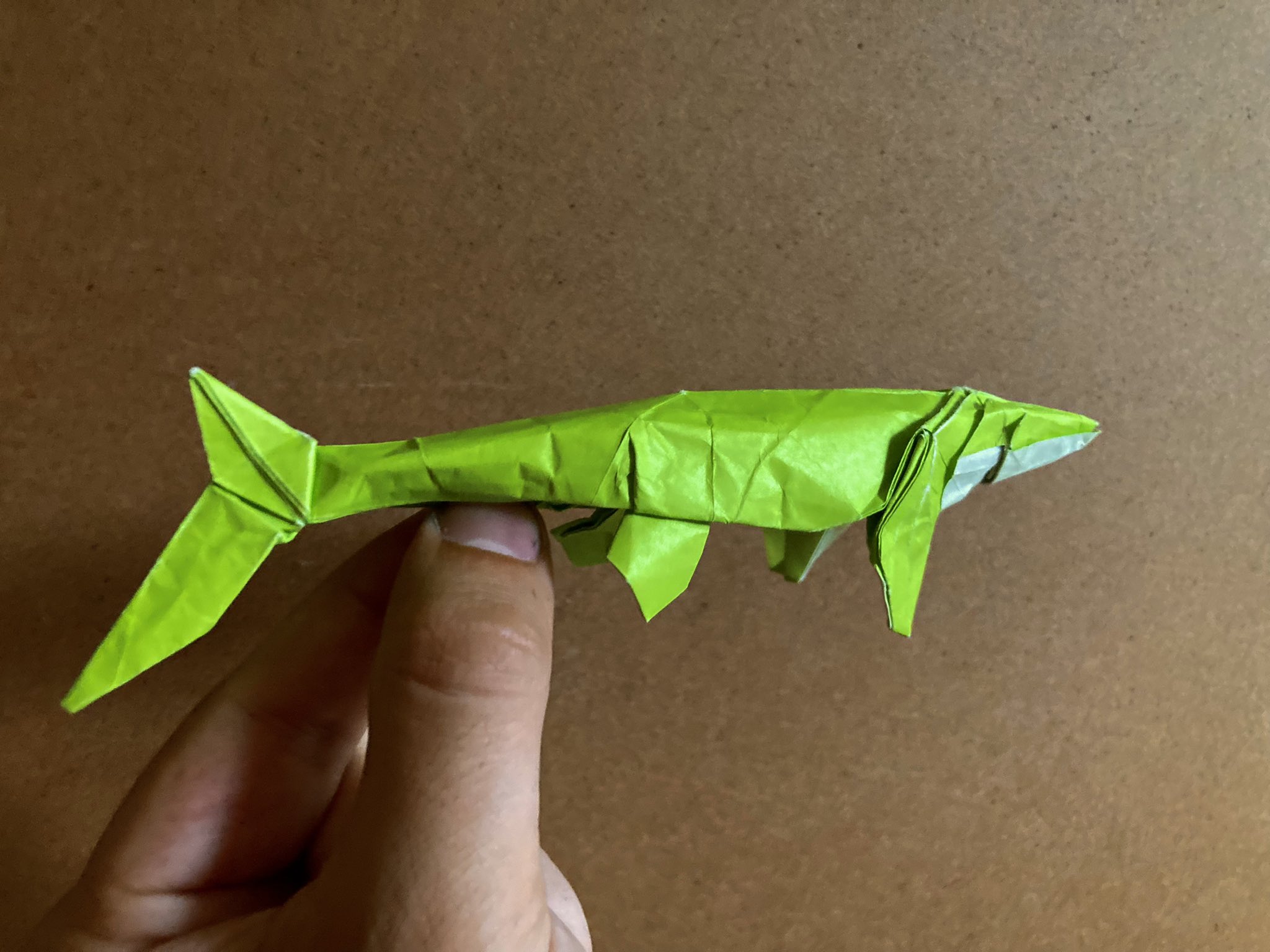 Origami Earth Life 顕生代の折り紙 Lungfishspeaks Twitter