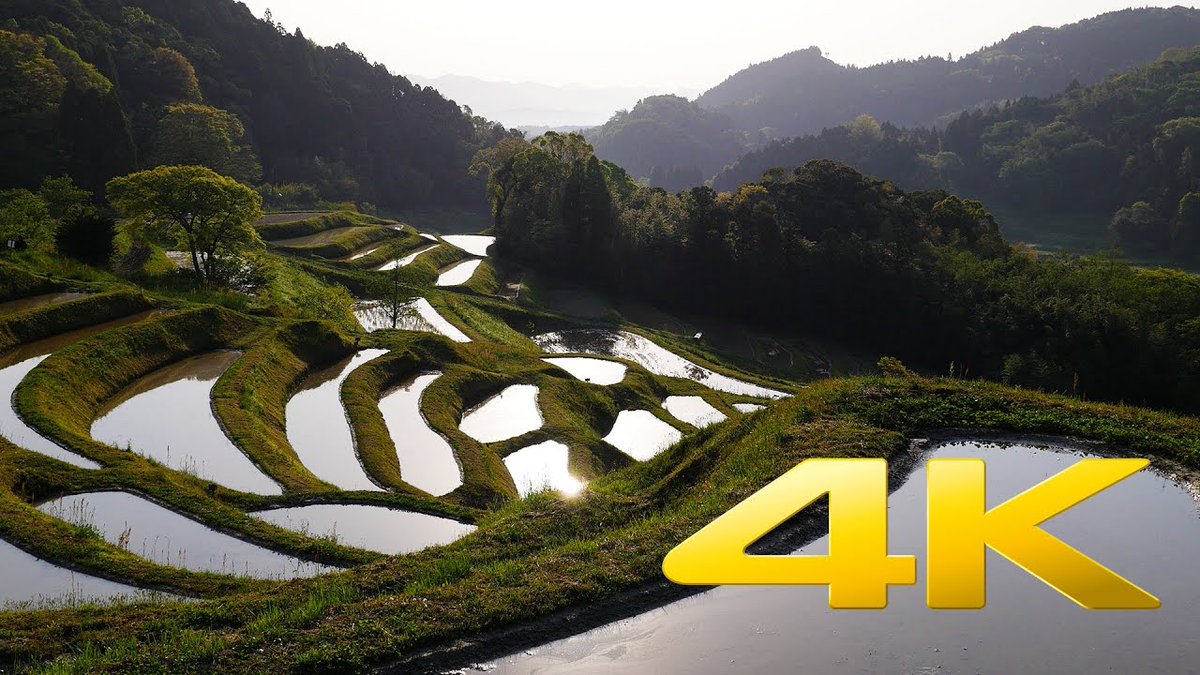 Travel21JPN's tweet photo. 【Terraced Rice Field in Hiratsuka, Chiba】
"The Tanada grows rice with only rain water and without any other means of irrigation !!"
[Travel Japan: Selected Videos 1709]
#Tanada #RiceField #Agriculture #棚田 #大山千枚田

《Video (2:36)》https://t.co/gfGrLBLXYv https://t.co/5QLBJsYk2l