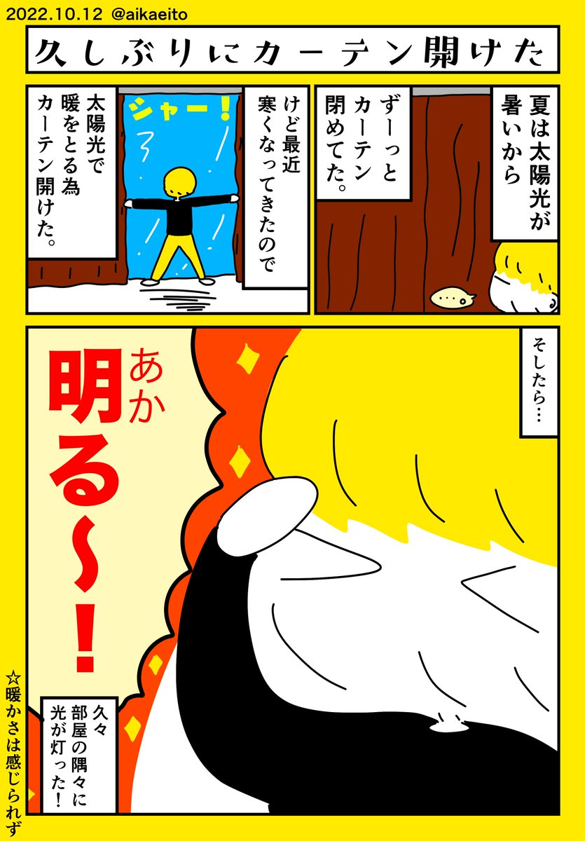 久しぶりにカーテン開けた 