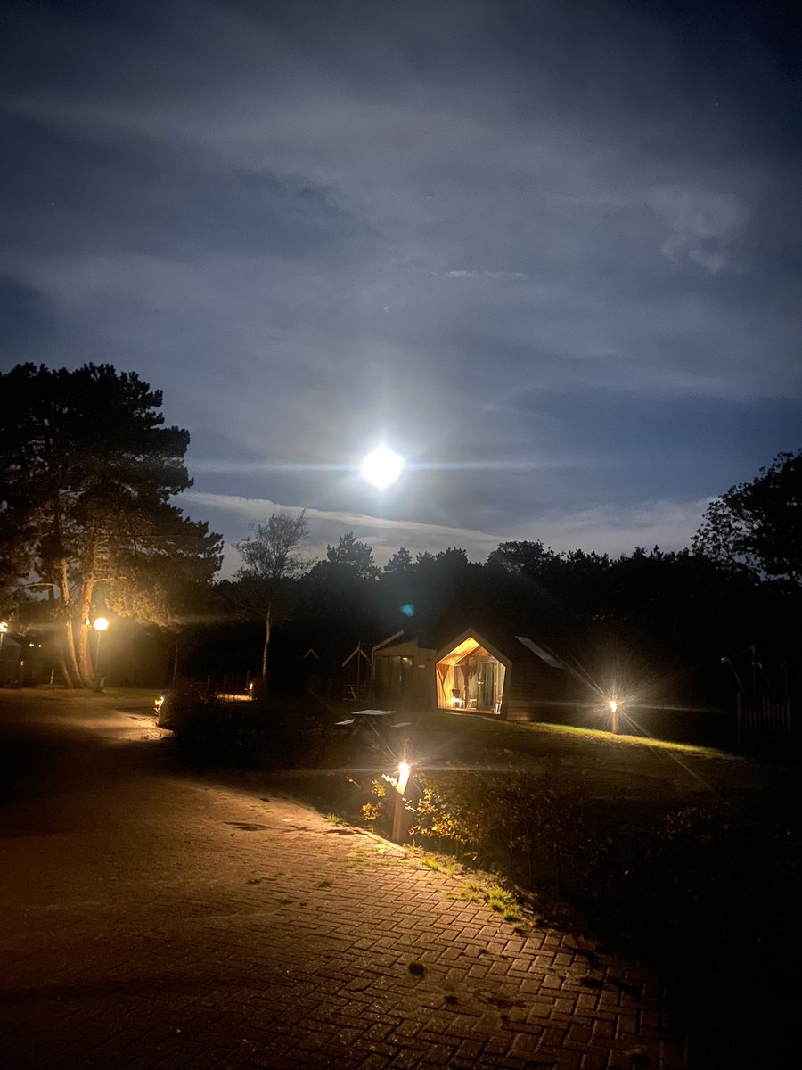 Wij blijven ook in herfst en winter geopend. #winterkamperen #callantsoog #wegineigenland #wintercamping #rustzoekers #slapenonderdesterrenhemel #hondmagmee #horecaopen