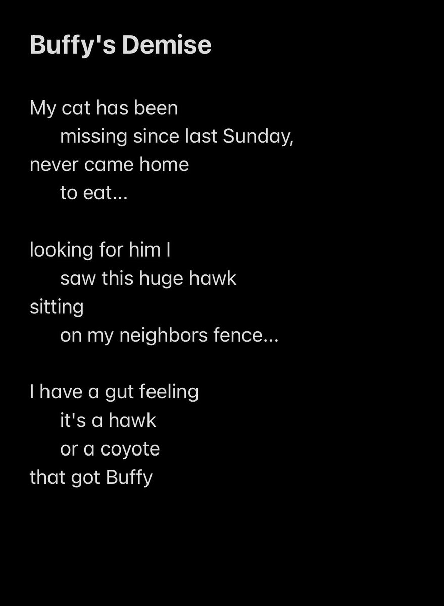 denisegallagrrr's tweet photo. My husband recited a post to me from the NextDoor app and in his dulcet tone it was pure poetry.
#nextdoorapp #poetry #buffy #cat #tragic #laughtertears https://t.co/WVfMc41SOs