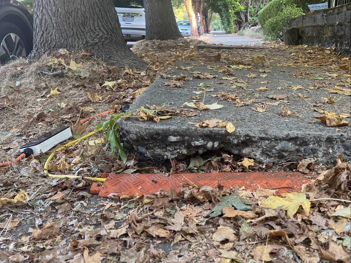 Queen Anne Greenways on Twitter "I found a car charging cable across