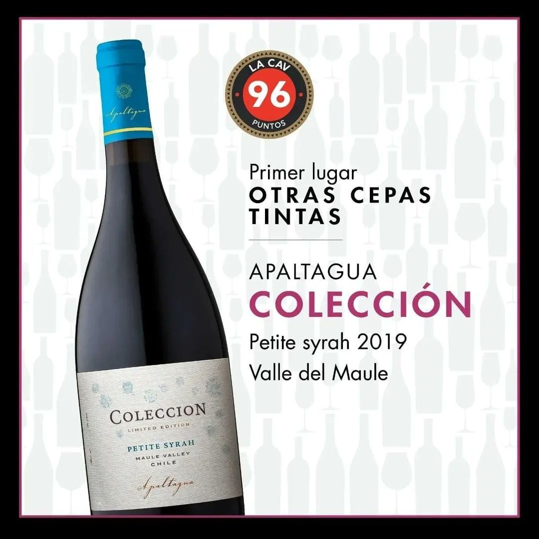 Apaltagua's tweet photo. Lo más selecto del Valle del Maule, directamente a tu mesa Apaltagua  Colección Petite Syrah🍷

Disponible en puntos de venta y nuestra tienda online #ClubApaltagua, link en la bio.

#vino #vinodechile #vinochileno #vinospremium #apaltagua #ClubApaltagua https://t.co/9YJHrAP73b