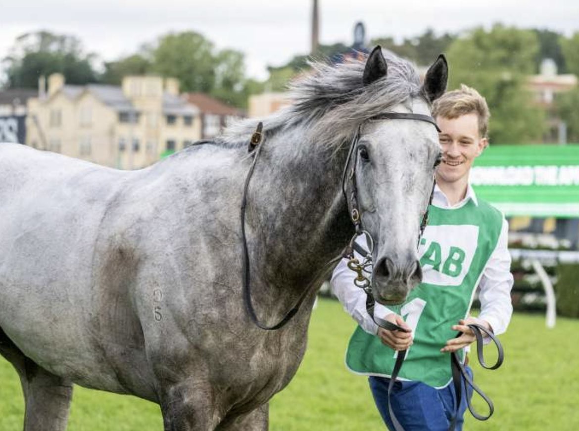 Annabel Neasham Racing on Twitter: 