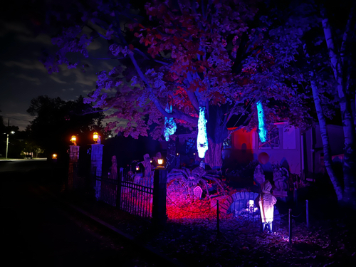 DanielforAurora's tweet photo. Amazing what you see
 walking around. I love the passion. #HalloweenInAurora #ward2 #aurora https://t.co/xa5oTWatZO