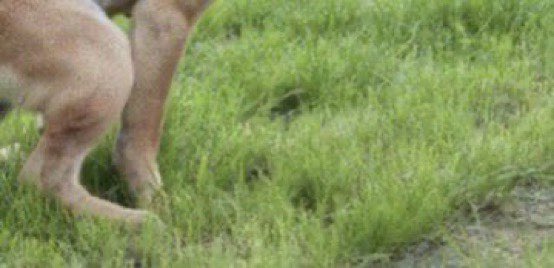 David (@david954fla) on Twitter photo 