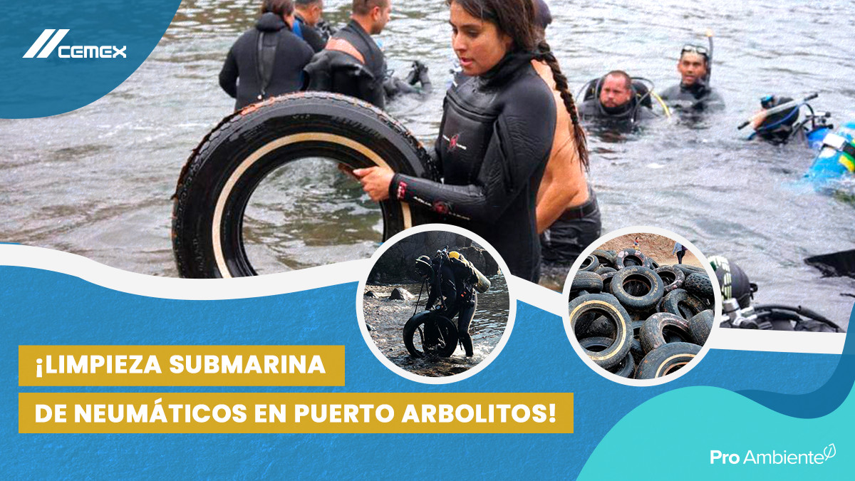 CEMEXMx's tweet photo. ¡Buceando por mares limpios en Puerto Arbolitos!
Más de 400 llantas que contaminaban el fondo marítimo fueron retiradas por 50 buzos en alianza con ambientalistas, #CEMEX y #ProAmbiente y a través del reciclaje energético transformaremos en energía limpia en nuestras operaciones. https://t.co/9Yr9oLJyJJ