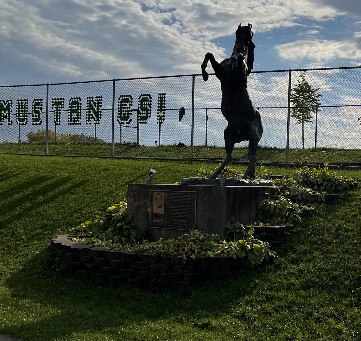 Route Tree Football Consulting (@routetreemn) on Twitter photo Mustang Country! More than football, a team of equals and passionate to find winning edges!!
Thank you for trusting <a href="/RouteTreeMN/">Route Tree Football Consulting</a> with your football consulting needs - Finish strong!!
<a href="/MoundsviewFB/">Mounds View Football</a>
<a href="/MobergAaron/">Coach Moberg</a>
<a href="/v_calistro/">Vince Calistro</a>
<a href="/Adam_Weber8/">Adam Weber</a>
<a href="/mfca_now/">MFCA-The Keepers of the Game</a>
#footballconsulting Mustang Country! More than football, a team of equals and passionate to find winning edges!!
Thank you for trusting <a href="/RouteTreeMN/">Route Tree Football Consulting</a> with your football consulting needs - Finish strong!!
<a href="/MoundsviewFB/">Mounds View Football</a>
<a href="/MobergAaron/">Coach Moberg</a>
<a href="/v_calistro/">Vince Calistro</a>
<a href="/Adam_Weber8/">Adam Weber</a>
<a href="/mfca_now/">MFCA-The Keepers of the Game</a>
#footballconsulting