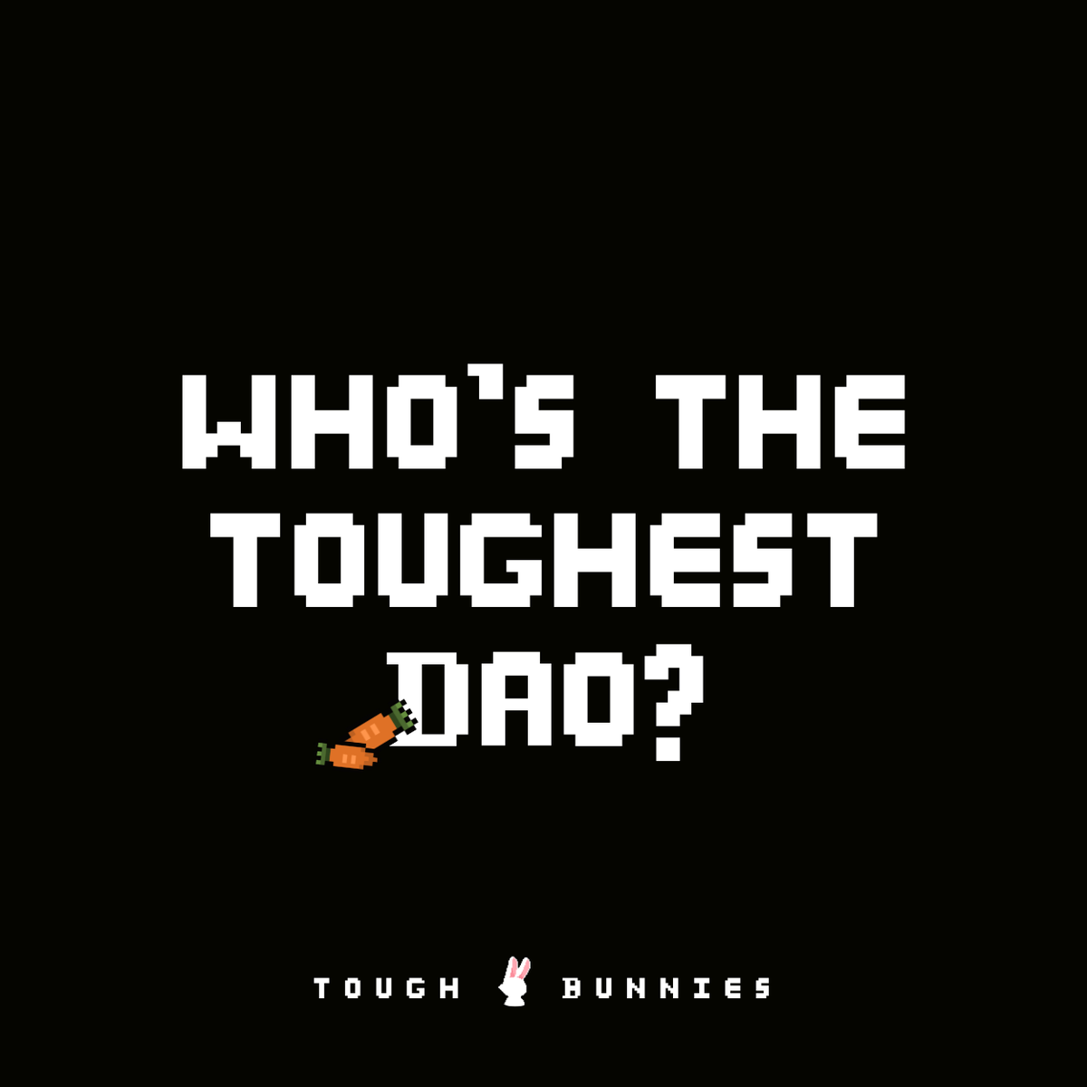 Tough Bunnies tweet media