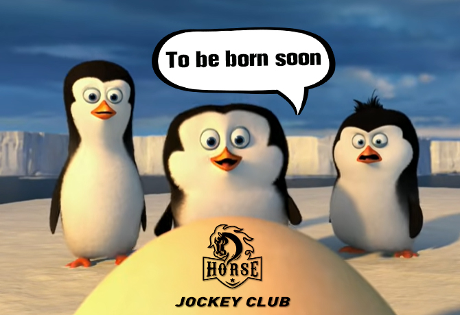 🎉Horse club
coming online soon #YOHO