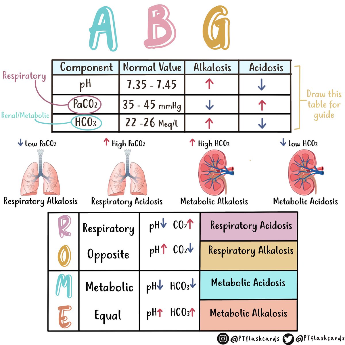 Innov_Medicine's tweet photo. ABG Analysis
#MedTwitter #FOAMed #MedEd
Credit: @PTFlashcards https://t.co/xYedk4bt2J
