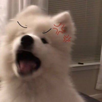 eric tweet media
