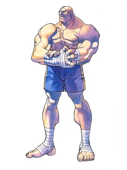 Now look at this Bengus illustration of Sagat vs a recent statue