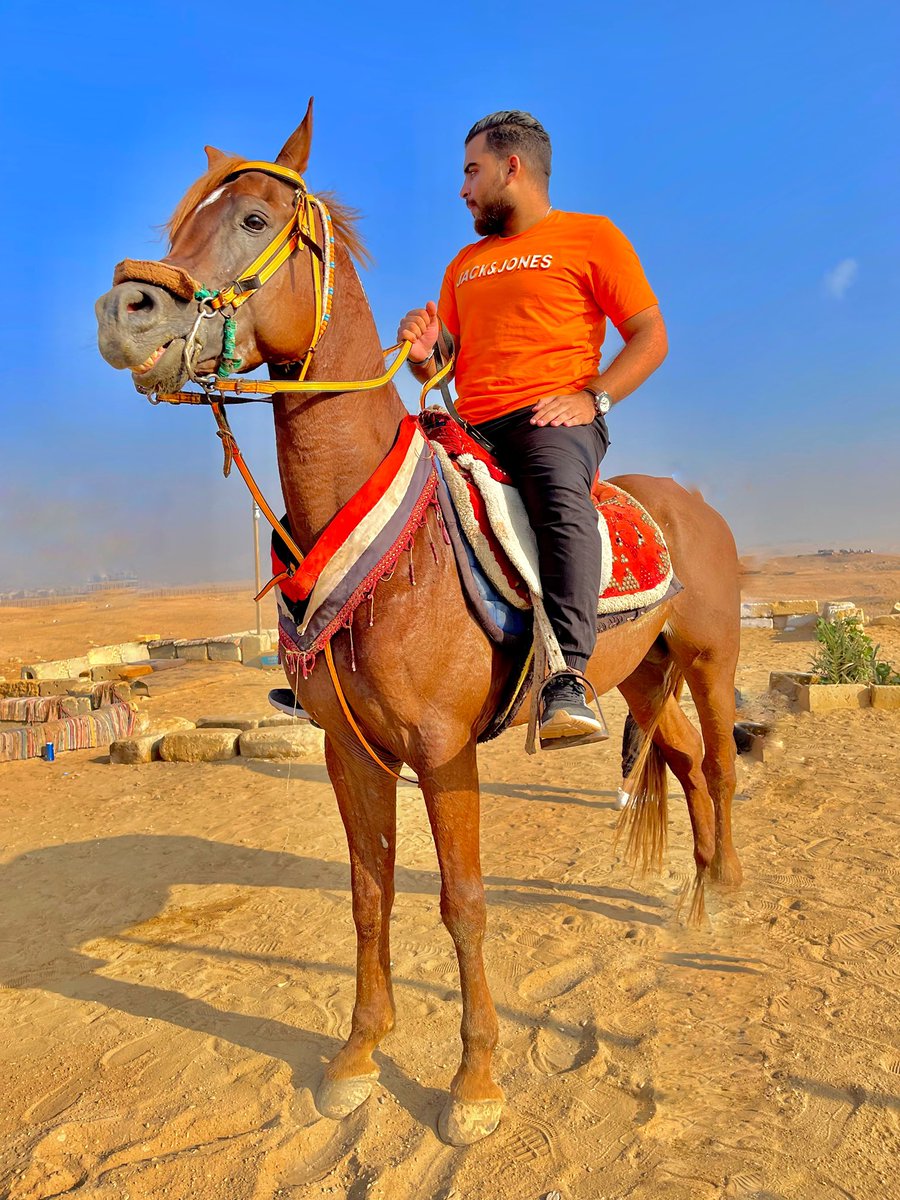 AhmedElsamoly6's tweet photo. خيال بلدكم 😂🐎 https://t.co/nCwxiKEpg5