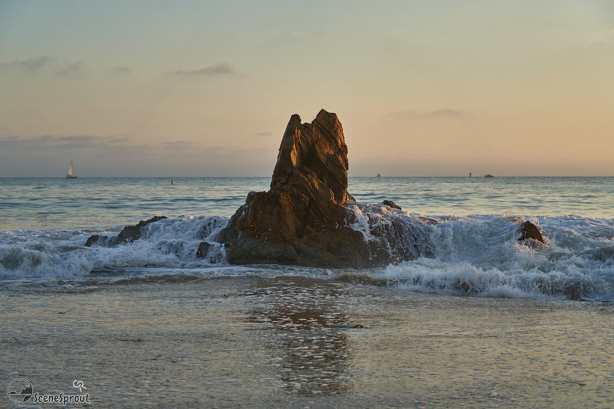 SceneSprout's tweet image. Finally made it to the California coastline. First time shooting the Ocean! Loads of fun digging your toes into the sand and having the waves wash over your feet while trying to stand still and take photos haha!
#ocean #photography #naturephotography